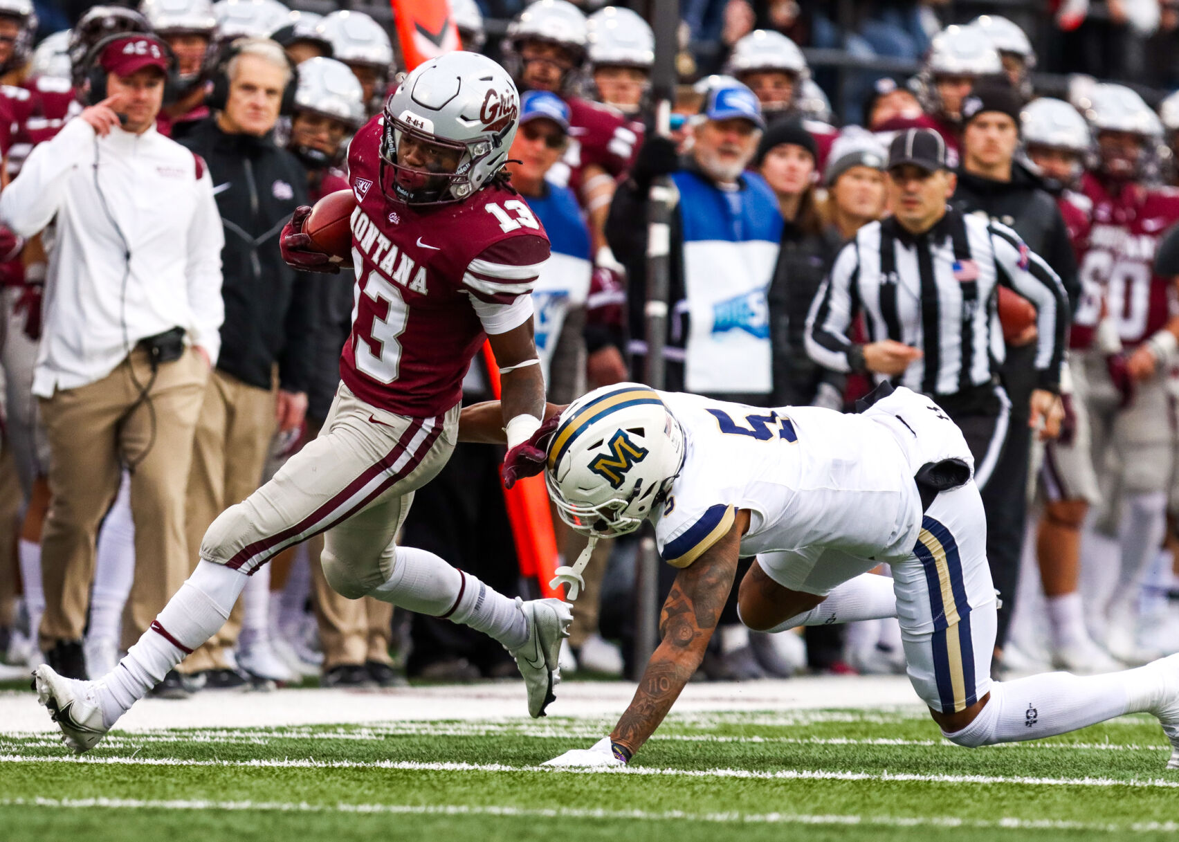 ibarra_cat-griz22 (gallery)
